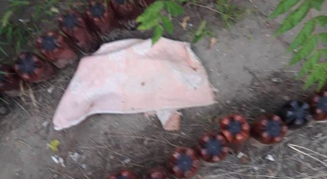 В Запорожья пьяная хозяйка на глазах у ребенка выбросила щенка из окна 7-го этажа: животное скончалось (Фото)
