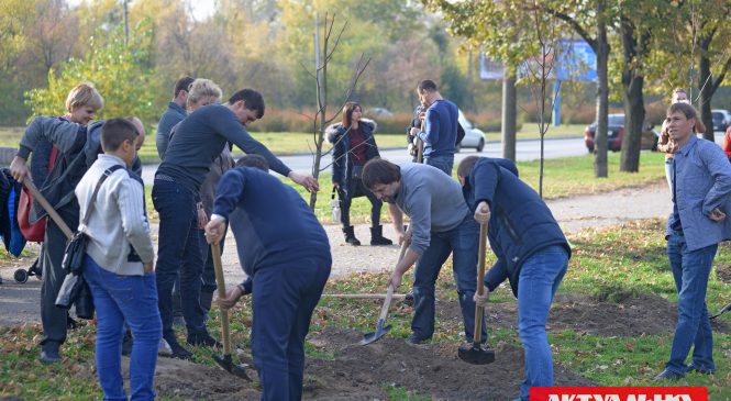 В Запорожье неравнодушные горожане посадили деревья
