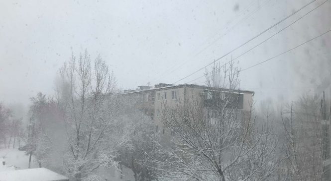 Фотофакт: Бердянск засыпает снегом