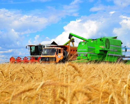 В Украине собрали 40 млн тонн зерна