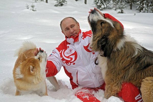 Журналист немецкого издания Focus обозвал Путина собакой