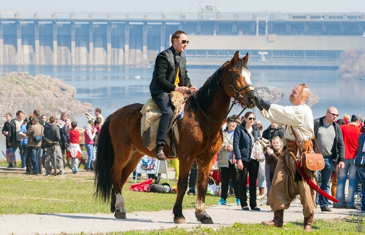 В Запорожье состоится чемпионат по конному спорту