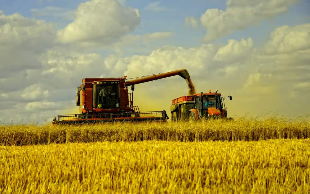 Правительство компенсировало аграриям деньги за покупку украинской сельхозтехники