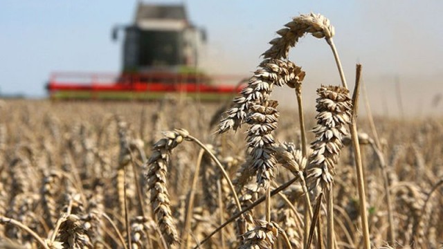 Украинские аграрии требуют от властей не уменьшать дотации