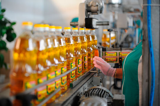 Украина установила рекорд по производству подсолнечного масла