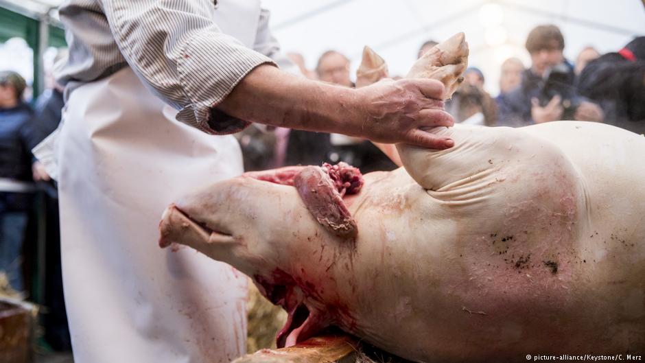 Швейцарских мясников,  публично зарезавших свиней, приравняли к ИГИЛ