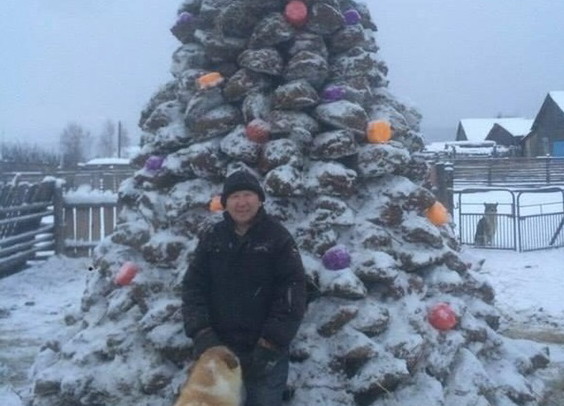 В России слепили новогоднюю елку из навоза