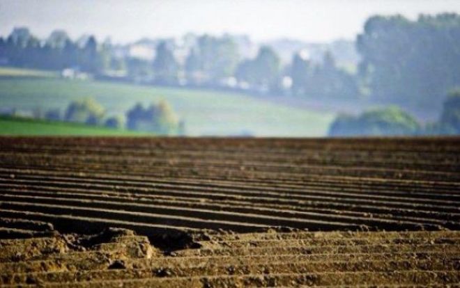 Украина несет миллиардные убытки из-за недостаточного орошения земли