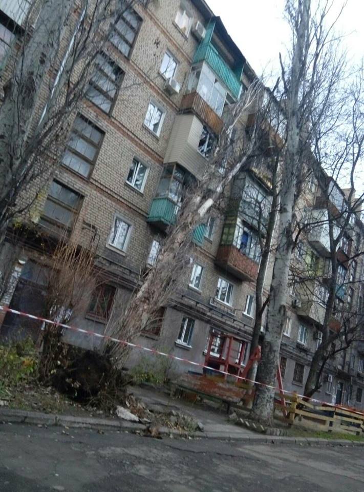 В Запорожье продолжают падать деревья-великаны. Видео