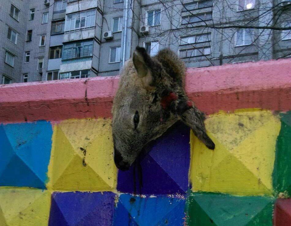 Кошмар в Запорожье. На детской площадке развесили труп оленя (ФОТО 18+)