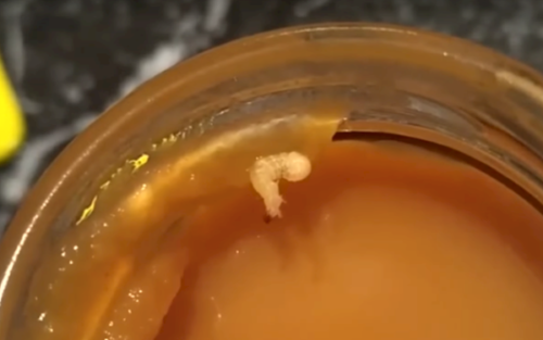 В детском питании родители нашли червя