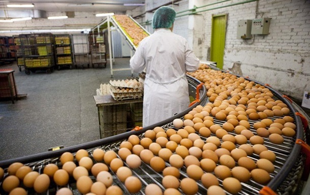 Украина вошла в топ-10 производителей яиц в мире