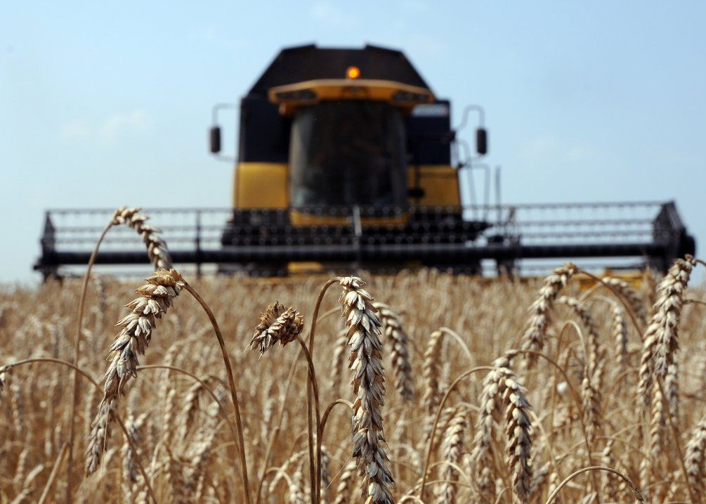 Аграрный экспорт Украины в ЕС вырос до 5,2$ млрд.