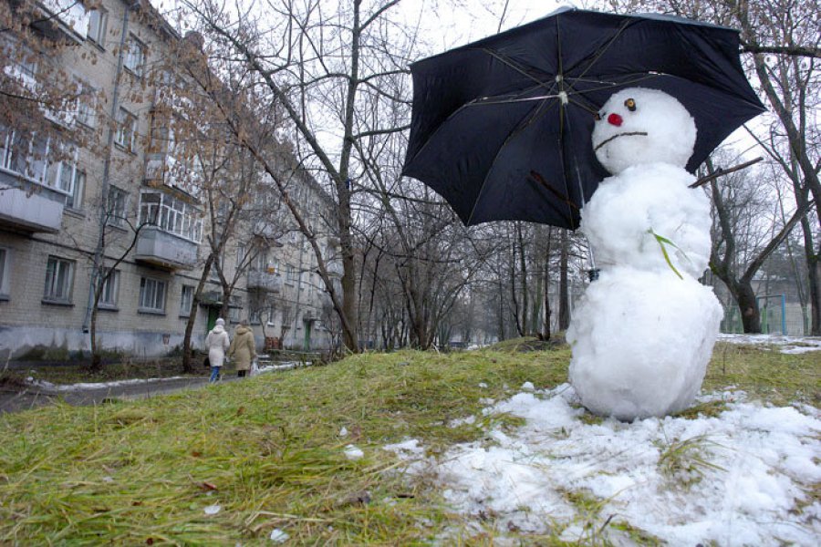 На Запорожье аномально теплая зима продолжает бить температурные рекорды