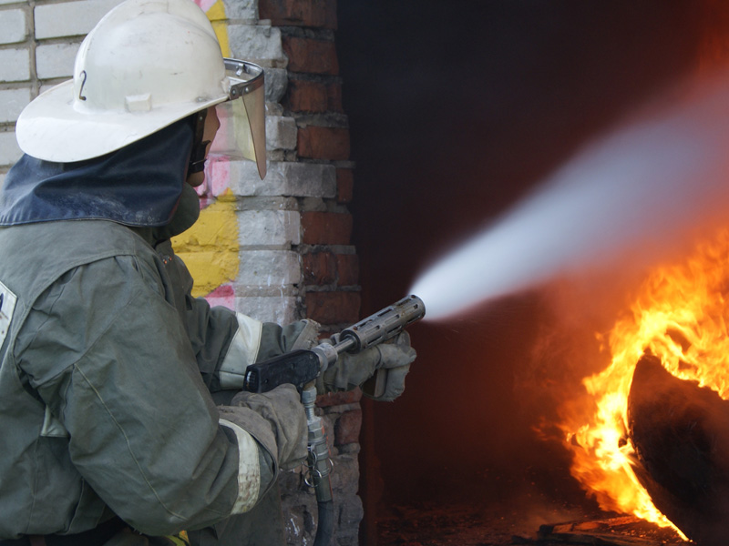 В Запорожской области горел частный дом