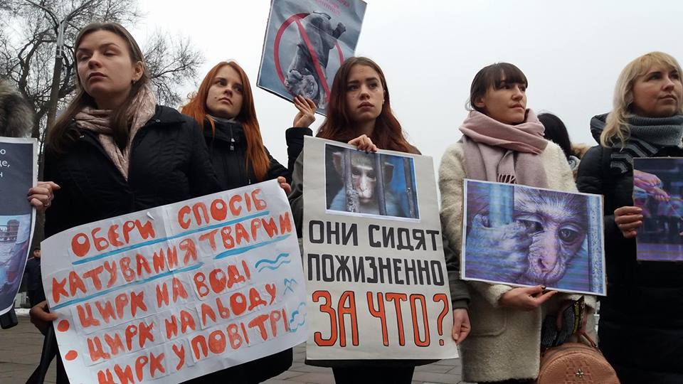 Запорожские активисты устроили акцию протеста против животных в цирке, – ФОТОРЕПОРТАЖ