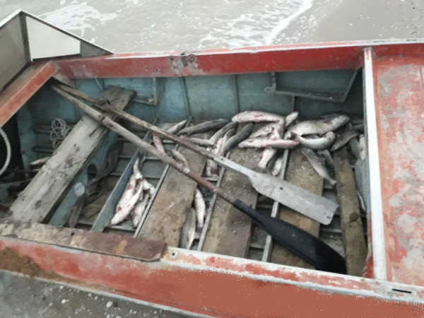 В Бердянске задержали браконьера наловившего рыбы на более чем 60 тысяч гривен