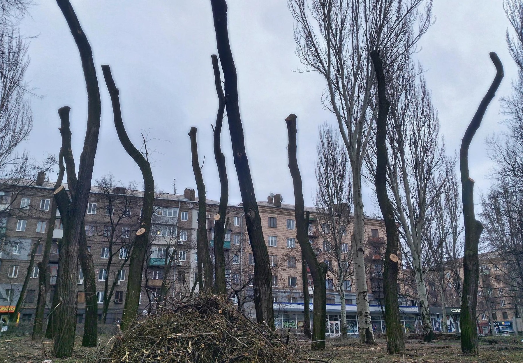 Кому помешали деревья в центре Запорожья?