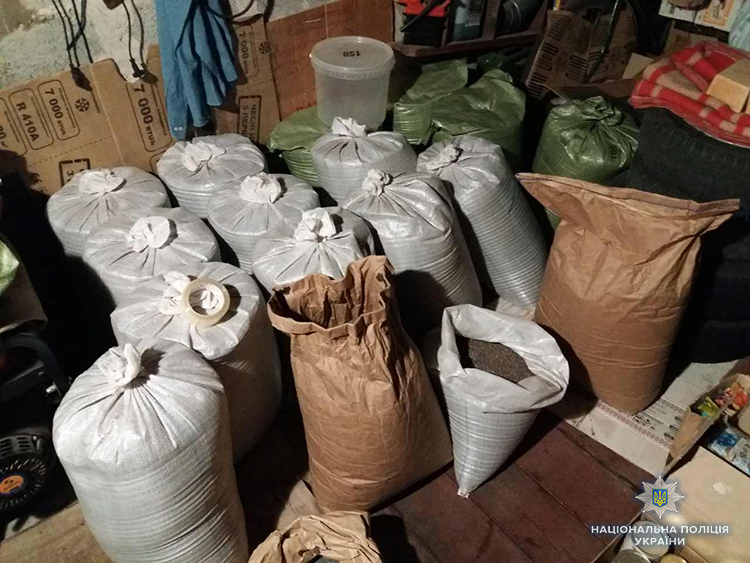 В Запорожской области полицейские изъяли 500 кг наркотиков,- ФОТО