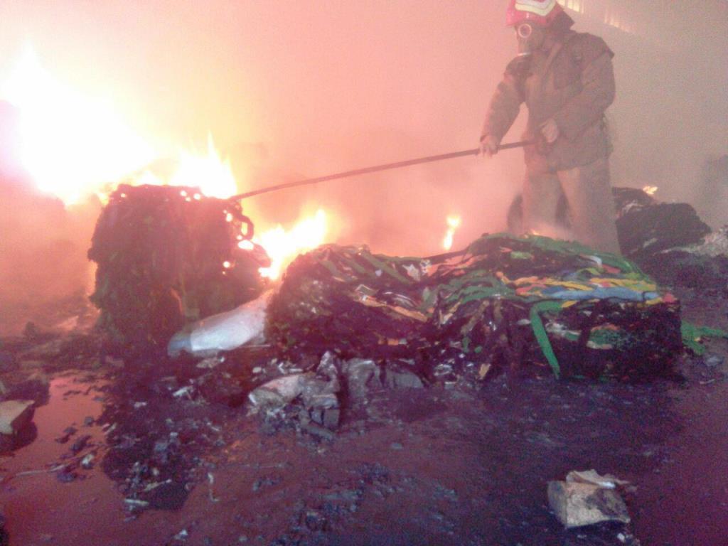 В Запорожской области сгорела хозяйственная постройка, – ФОТО
