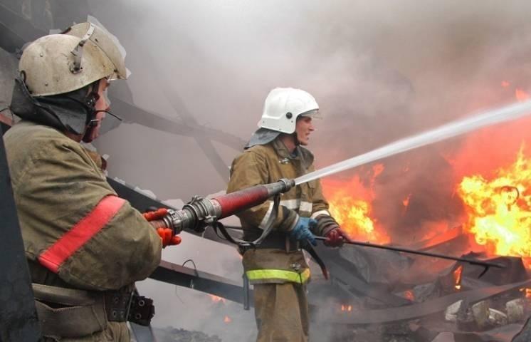 В Запорожской области пожар забрал жизнь пожилого мужчины