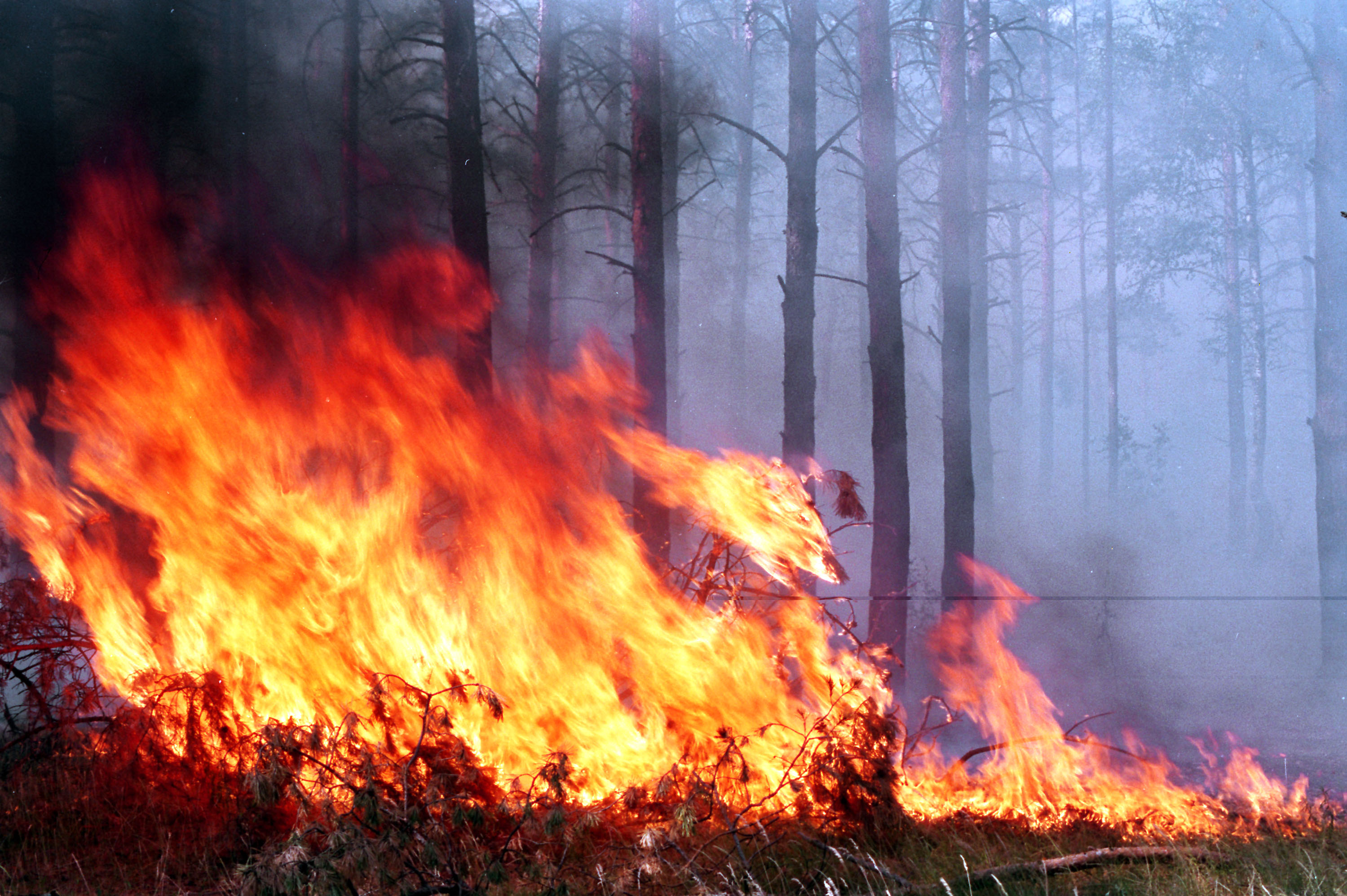В Запорожье и области за сутки произошло два пожара на открытой территории