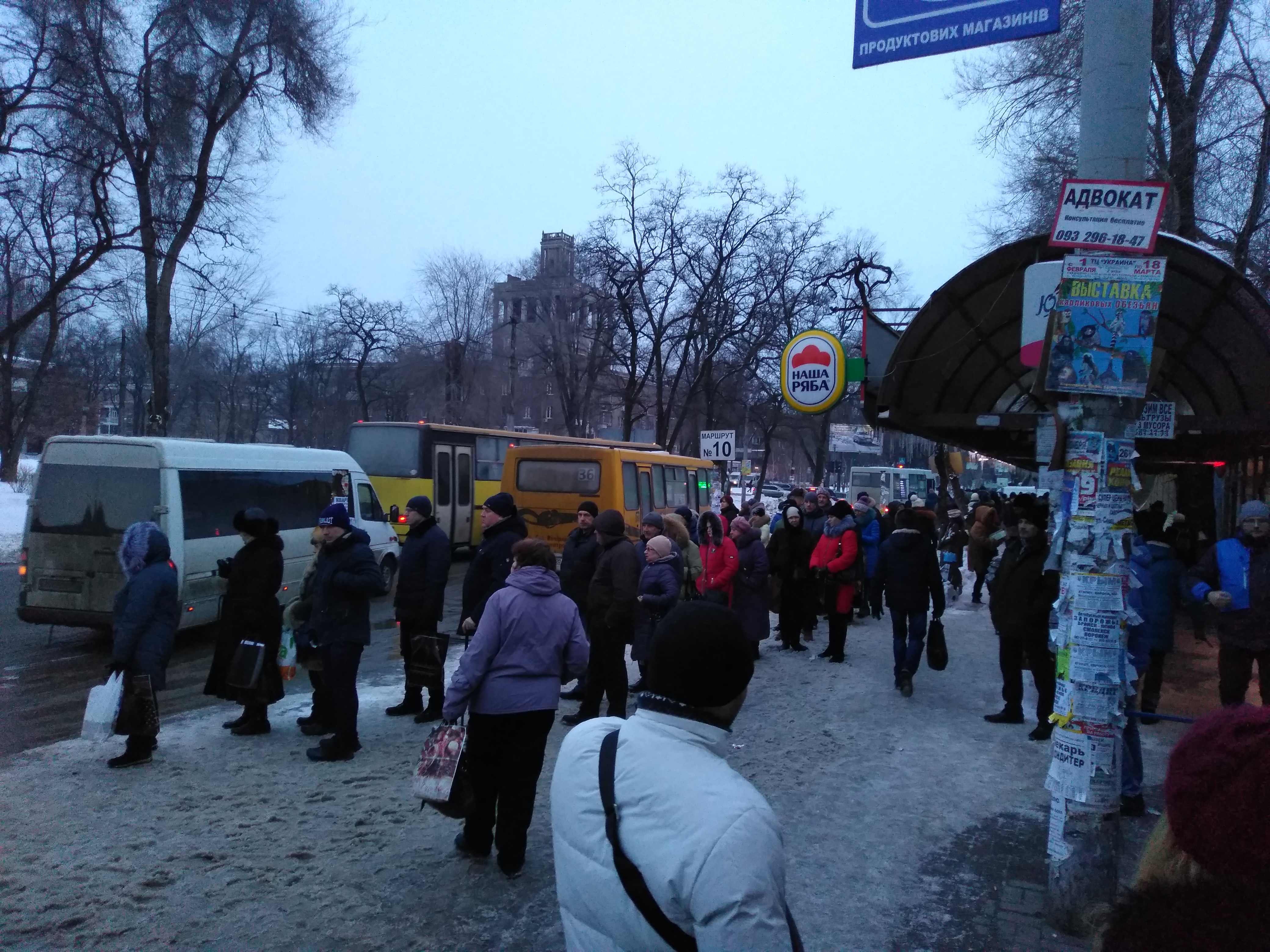 «Сколько Вы будете издеваться над жителями?» Запорожцы призывают Буряка решить транспортную проблему