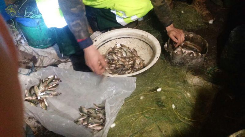В Запорожской области браконьеры незаконно наловили рыбки на 26 тысяч гривен