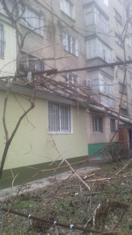 Стихия бушует: из-за непогоды дерево упало на жилой дом