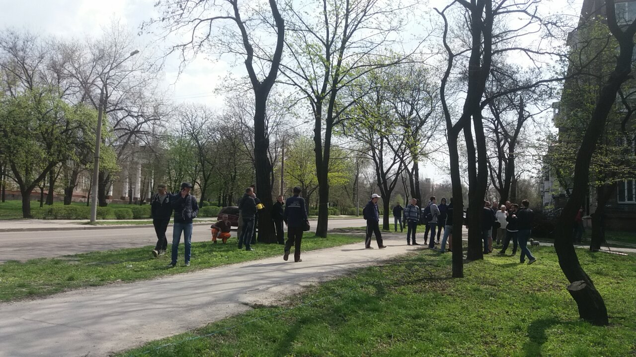 Суд приостановил решение исполкома Запорожского городского совета о вырубке 566 деревьев в парке в центре города