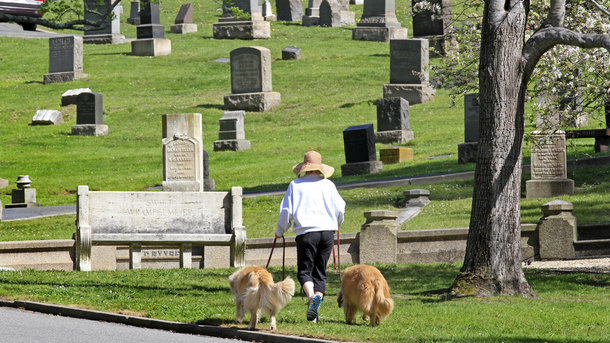 Мест на кладбище нет: запорожцы будут хоронить близких в парках и скверах