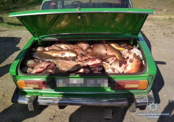 Под Запорожьем браконьеры попались с целым багажником рыбы