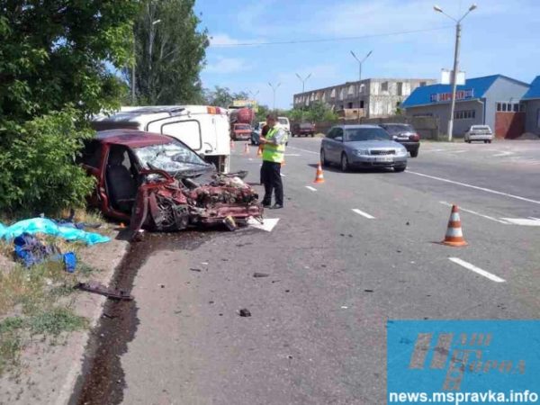 Серьезное ДТП в Запорожской области: водитель скончался на месте (Фото)