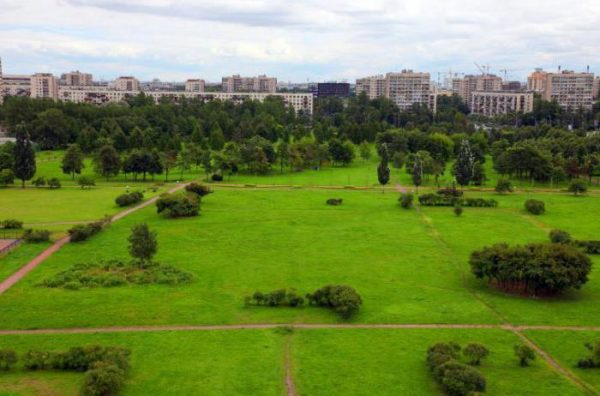 “Город должен развиваться, но не за счет здоровья людей”: запорожцы просят ввести мораторий на застройку зеленых территорий общего пользования