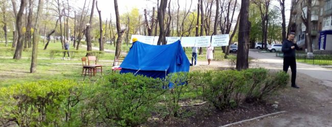 Срубят ли деревья под постройку нового ТЦ в Запорожье: суд рассмотрел иск
