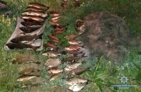 Запорожский рыбоохранный патруль задержал ночных браконьеров (Фото)