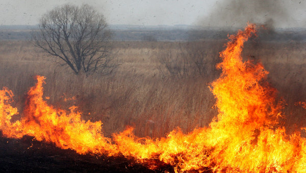 Запорожские спасатели за сутки ликвидировали 22 пожара в экосистемах