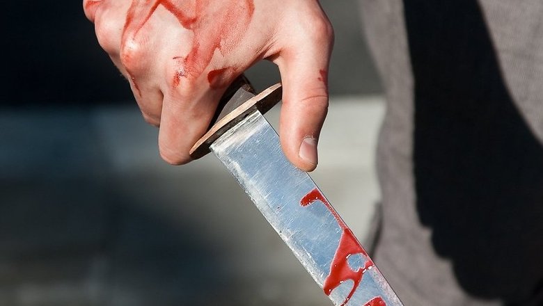В Запорожской области мужчина ударил ножом своего собутыльника