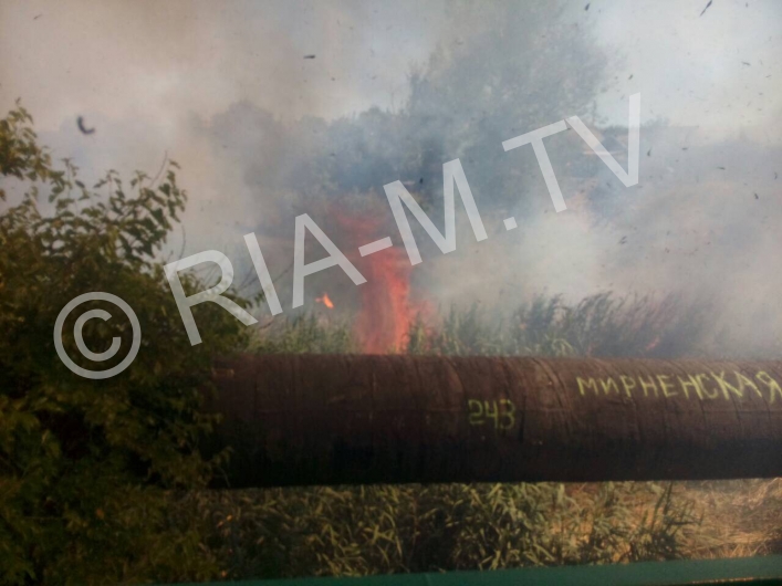 В Запорожской области пожар охватил балку (видео)