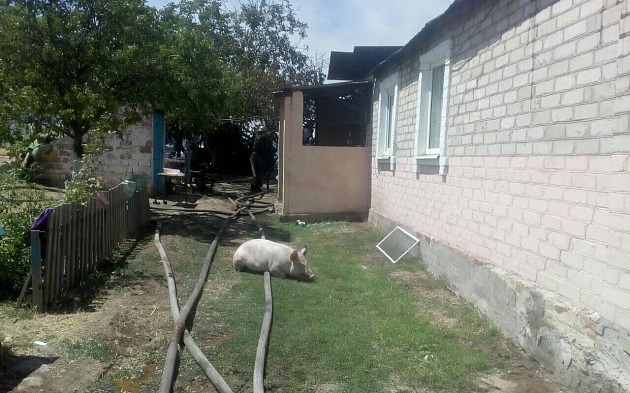 Пожар в сарае в Запорожской области лишил хозяев их домашних животных (Фото)