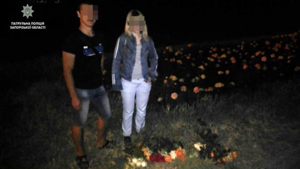 Ради любви: в Хортицком районе Запорожья вандал оборвал кусты с розами (Фото)