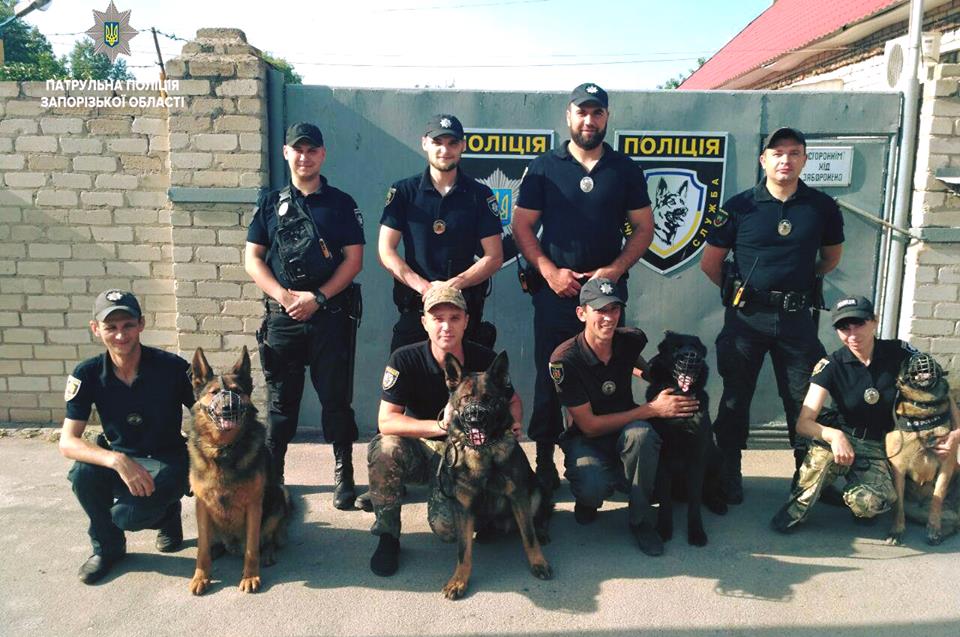 “Собачий патруль”: в Запорожье начали работу пешие патрульные с собаками