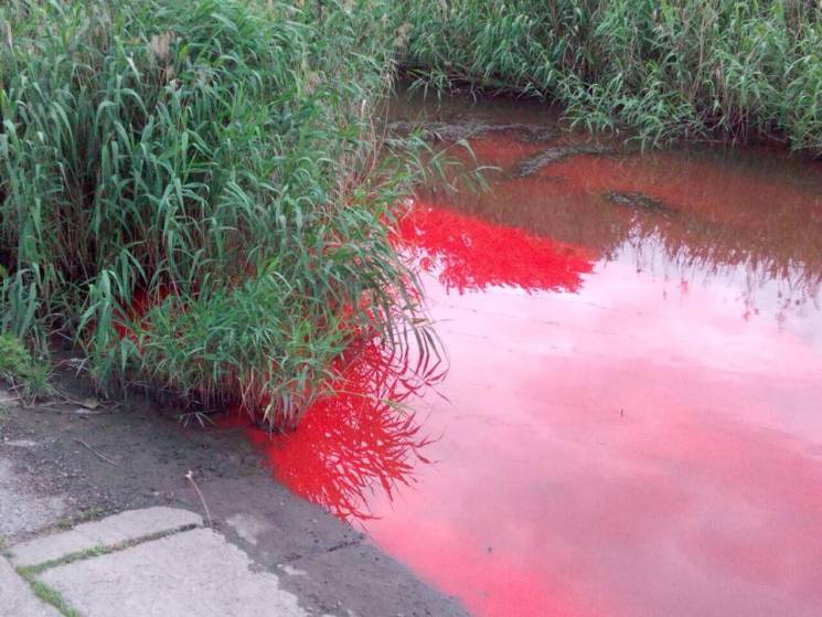 В Запорожье появилась красная река: фотофакт