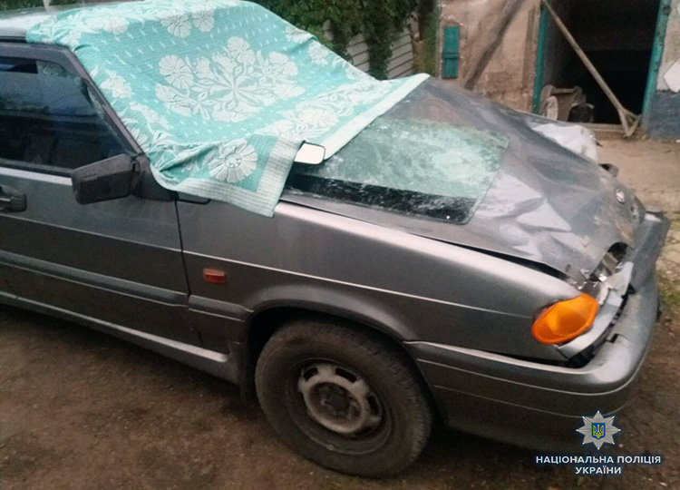 В Запорожской области пьяный водитель насмерть сбил двух пешеходов (Фото)