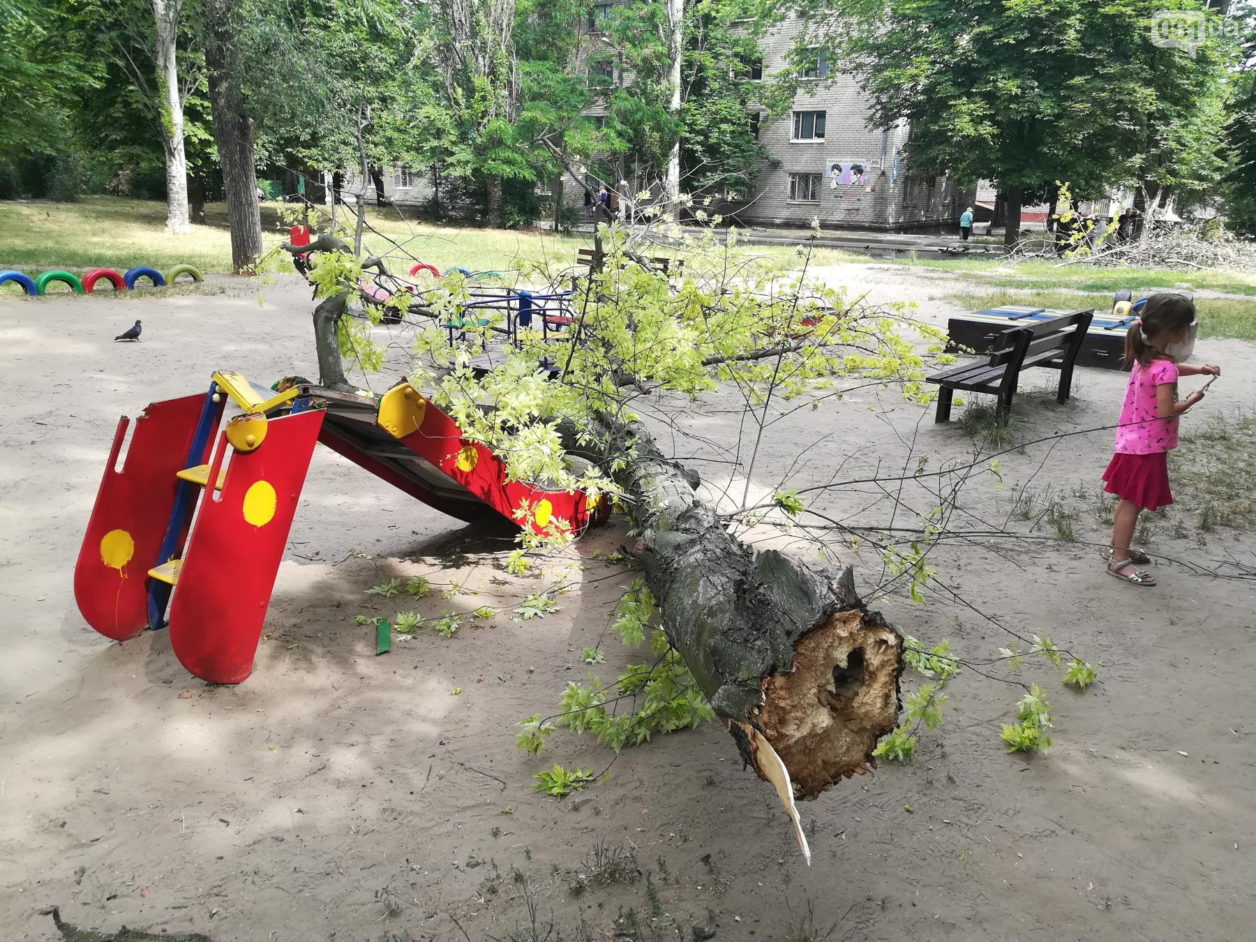 В Запорожье на Космосе дерево упало посреди детской площадки (фото)