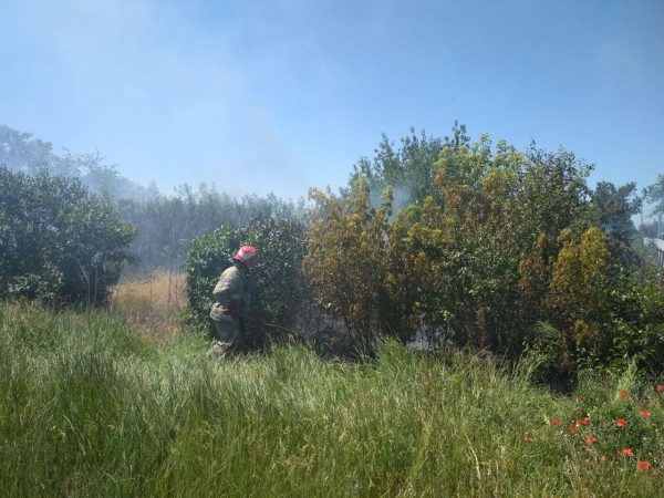 За сутки запорожские спасатели более 30 раз выезжали тушить пожары (Фото)