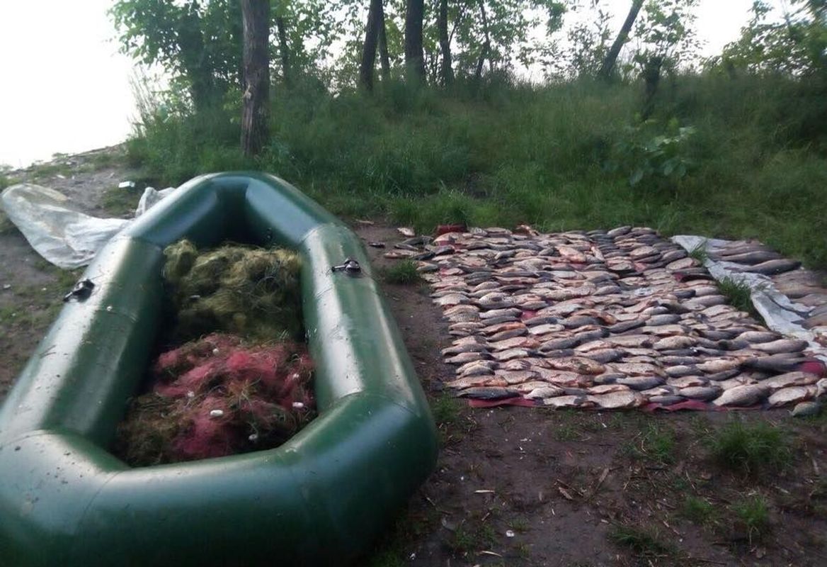 В Запорожье выявили почти 500 нарушений в сфере рыболовства