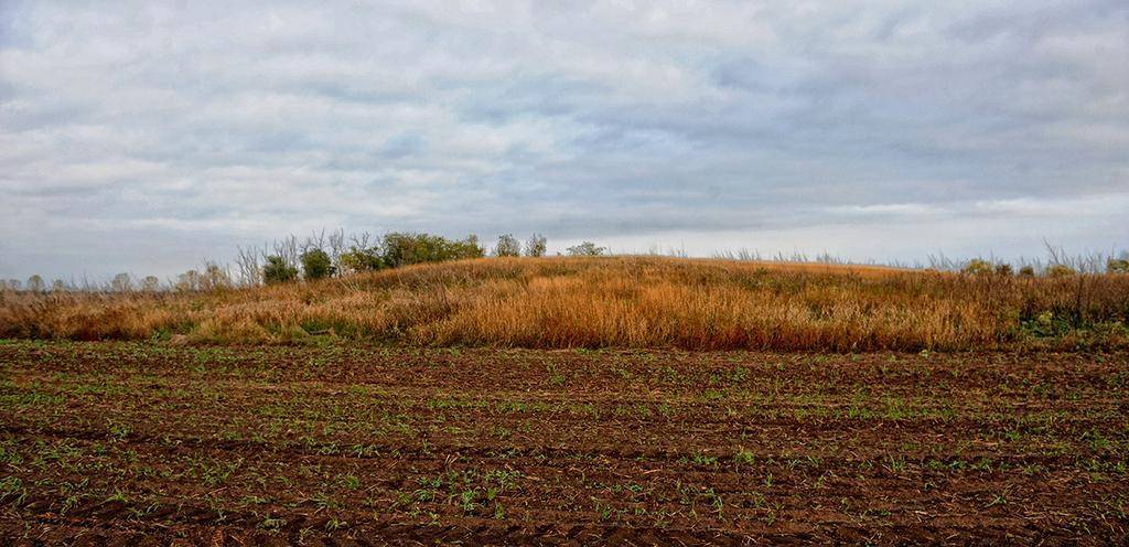 Прокуратура требует вернуть государству земельный участок в Запорожской области, на котором расположен объект археологического наследия стоимостью почти 16 млн грн