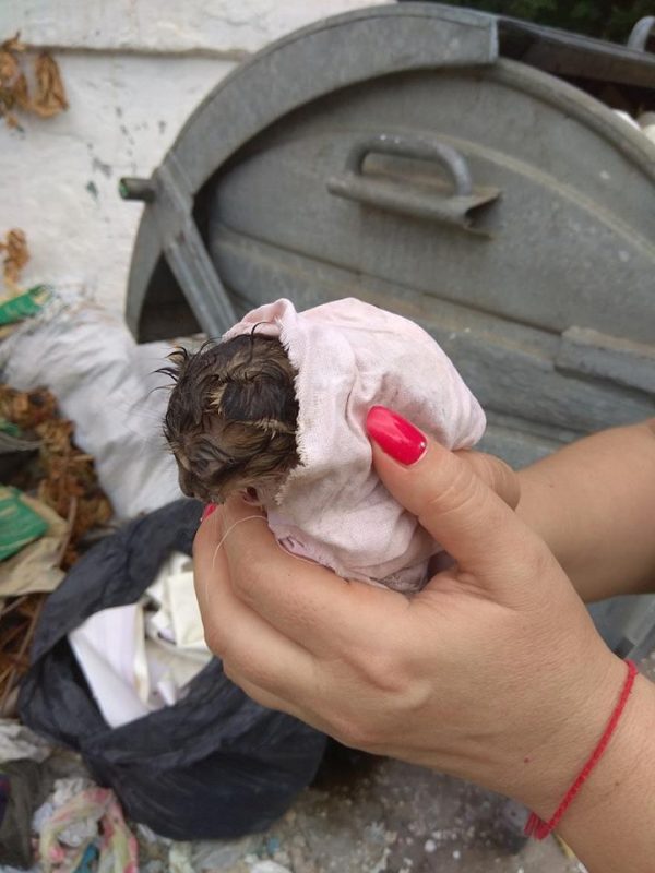 Изверги: в Запорожье неизвестные выбросили завязанных в пакетах новорожденных котят на мусор (Фото, видео)