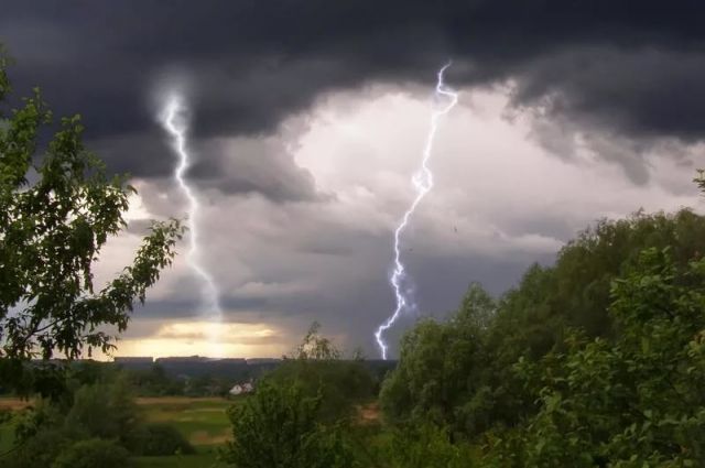 Фотофакт: непогода в Запорожской области сносила деревья и крыши домов